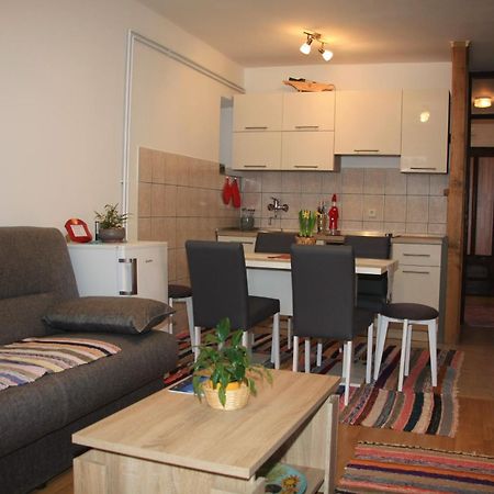 Apartment Rasce Ogulin Exteriör bild